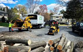 Best Utility Line Clearance  in Englewood, NJ