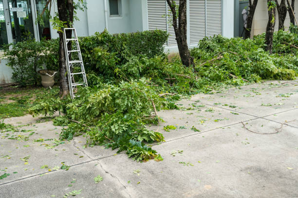 Best Seasonal Cleanup (Spring/Fall)  in Englewood, NJ